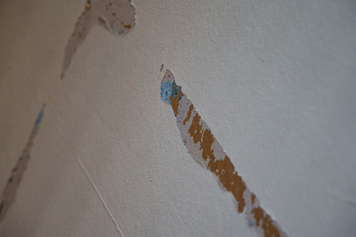 Storm Damage Repair service in Springfield, MO